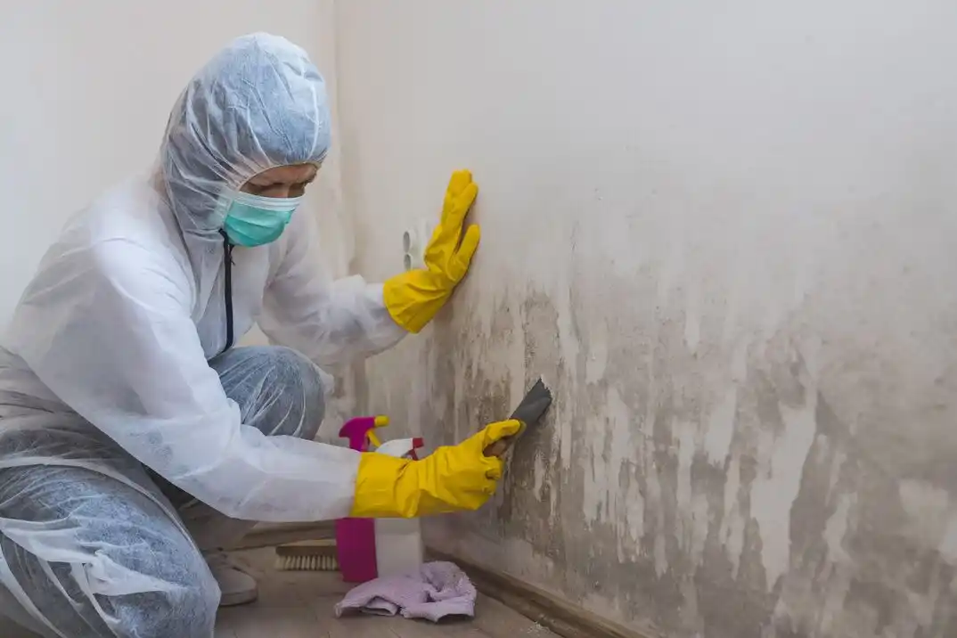 water damage restoration service Cross Lanes
